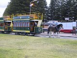 055 Horse Tram (Victor Harbor)
