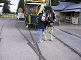 057 Jacinta With Horse Tram (Victor Harbor)