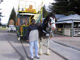 059 Albert With Horse Tram (Victor Harbor)