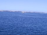018 Ferry (Kangaroo Island)