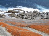 032 Remarkable Rocks (Kangaroo Island) 10