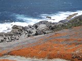 033 Remarkable Rocks (Kangaroo Island) 11