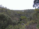 074 Dam Valley (Barossa)