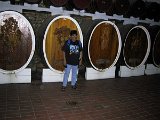 075 Jacinta With Casks At Chateau Yaldara (Barossa)