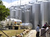 082 Grape Juice Storage At Chateau Yaldara (Barossa)