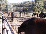 IMG_0142