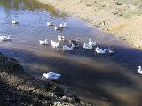 IMG_0151