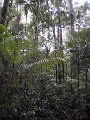 IMG_0077