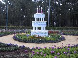 IMG_0245