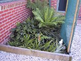 IMG_0002