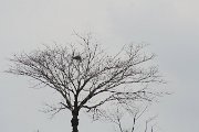 IMG_2476