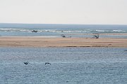 IMG_2879