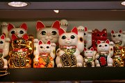 IMG_3024