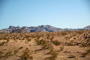 IMG_4424