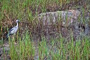IMG_5500