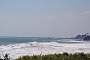 IMG_6459