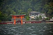 IMG_7742