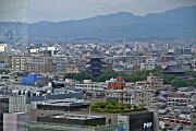 IMG_8614