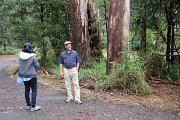 IMG_0018