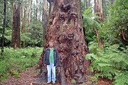 IMG_0035