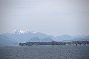 IMG_0605