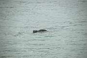 IMG_1291