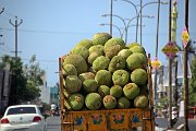 IMG_3446