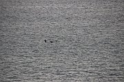 IMG_5674