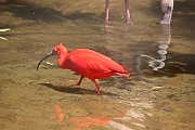 IMG_7167