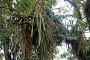 IMG_7323