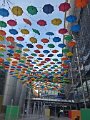 IMG_005