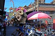 IMG_1287