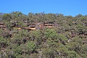 IMG_2212