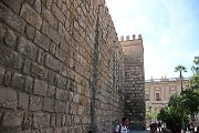 IMG_3559